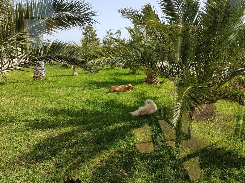 Les Jardins De Mogador Yoga Et Spa Essaouira Eksteriør bilde