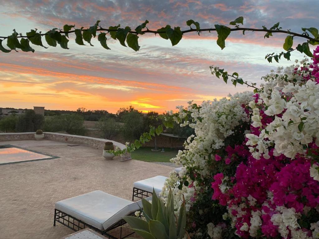 Les Jardins De Mogador Yoga Et Spa Essaouira Eksteriør bilde