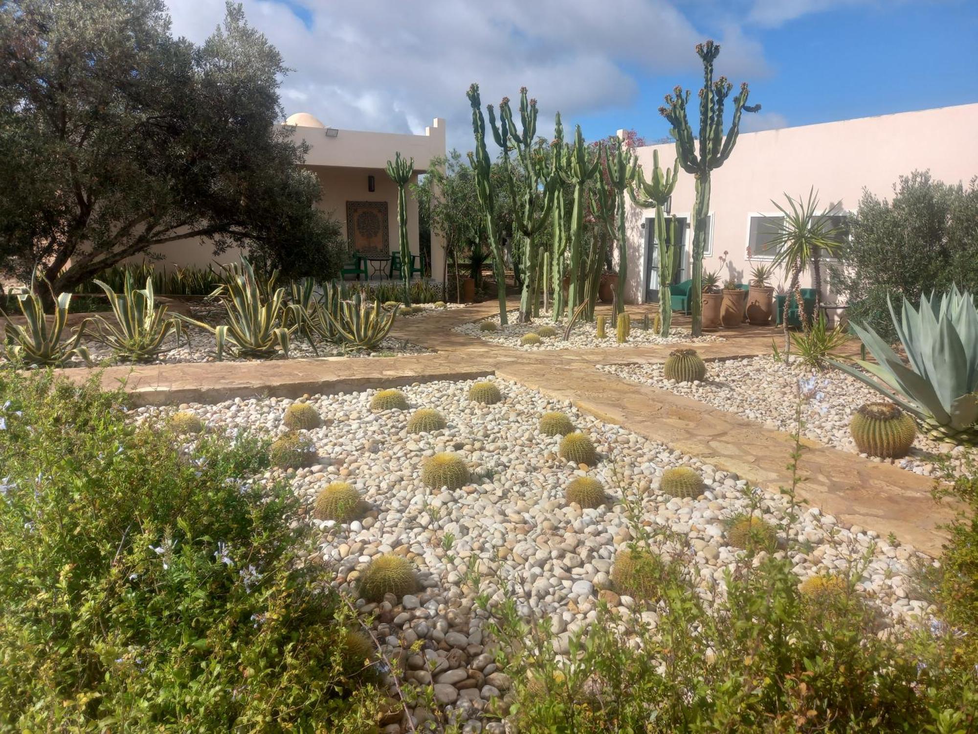Les Jardins De Mogador Yoga Et Spa Essaouira Eksteriør bilde