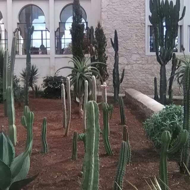Les Jardins De Mogador Yoga Et Spa Essaouira Eksteriør bilde